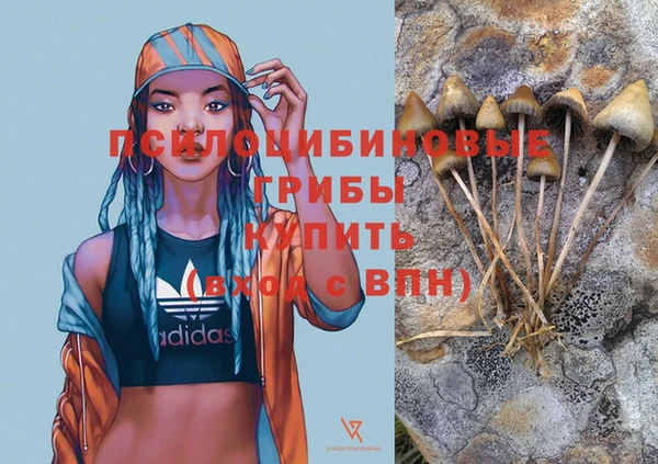 прущие крисы Абаза