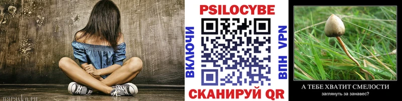 Галлюциногенные грибы Psilocybine cubensis  shop формула  KRAKEN tor  Александров  купить закладку 