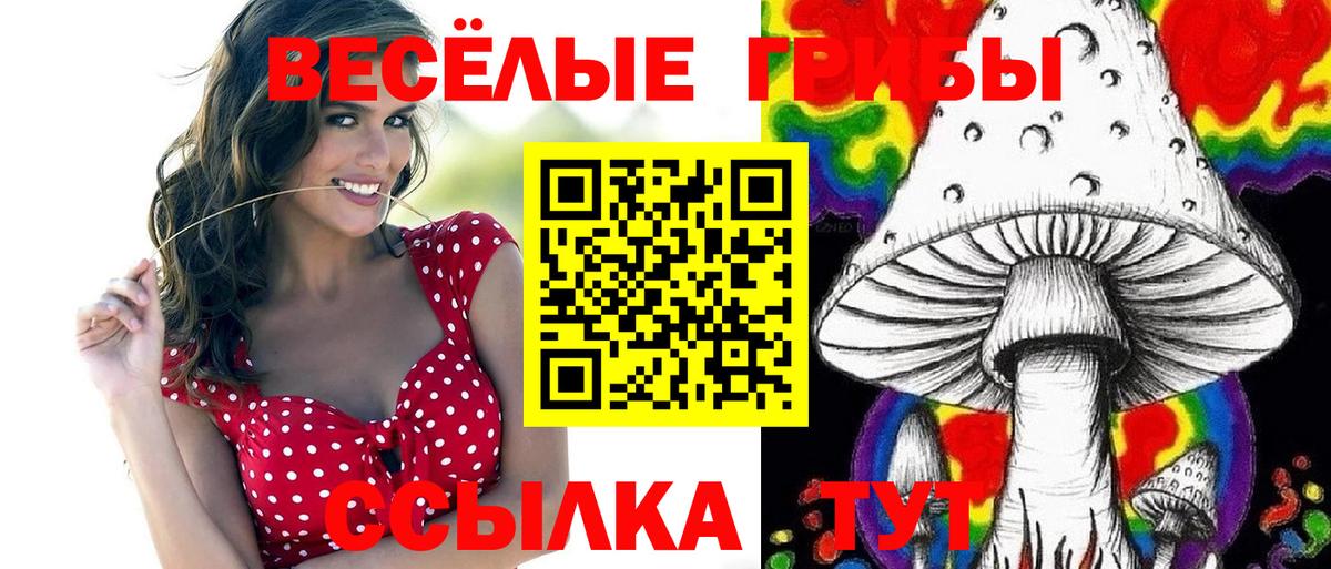 Псилоцибиновые грибы Psilocybe Александров