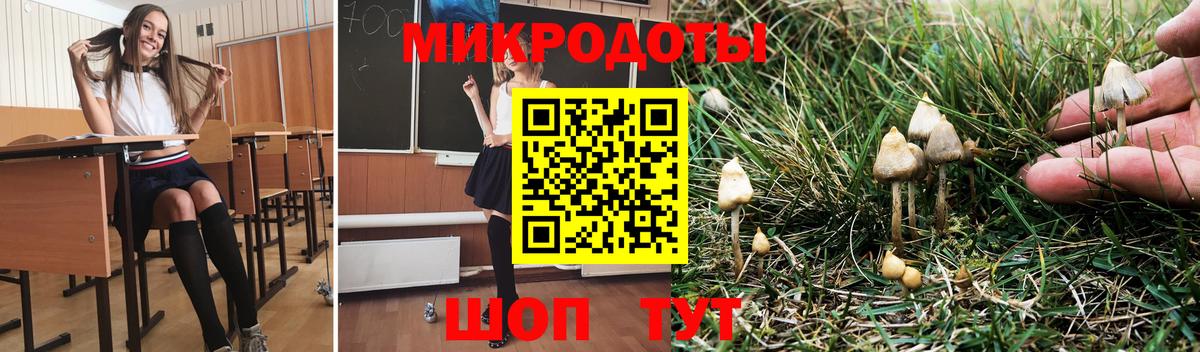 Александров  Галлюциногенные грибы мицелий  Вход с VPN 