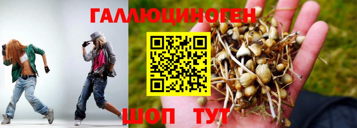 НБОМе  Александров  Канабис  Альфа-ПВП  Вход с VPN  XTC  COCAIN  Мефедрон  Хэш 